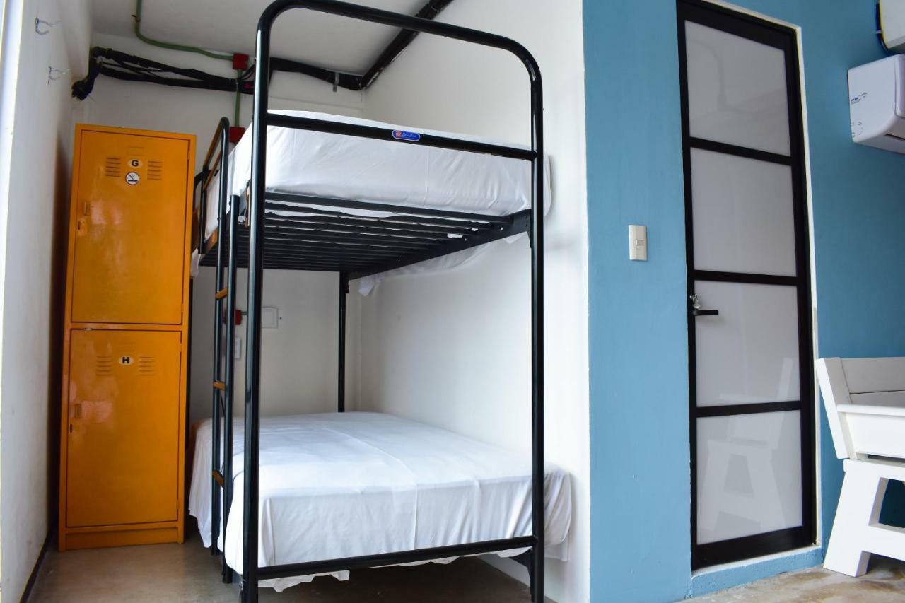 Tucan Hostel カンクン エクステリア 写真